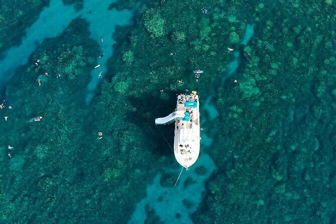 Small Group Coral Gardens Snorkel & Waterslide Adventure - A 3-Hour Maui Snorkel With a Real Waterslide