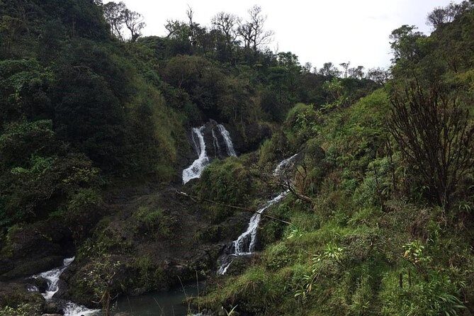 Small-Group Road to Hana Adventure Tour with Pickup & Lunch - Key things I’d mark on your Maui map