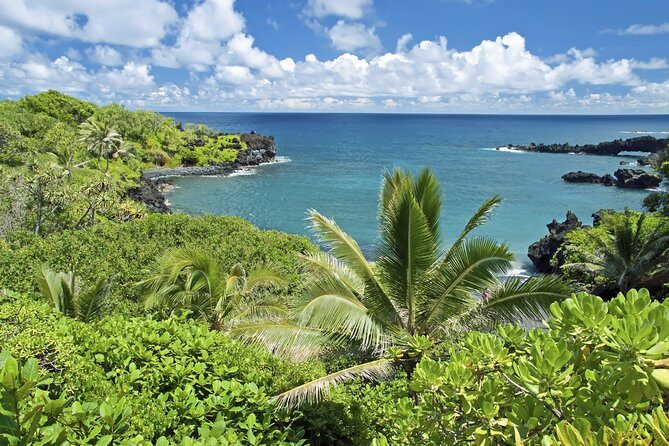 Small-Group Road to Hana Adventure Tour with Pickup & Lunch - Bamboo forest and the mid-route rhythm