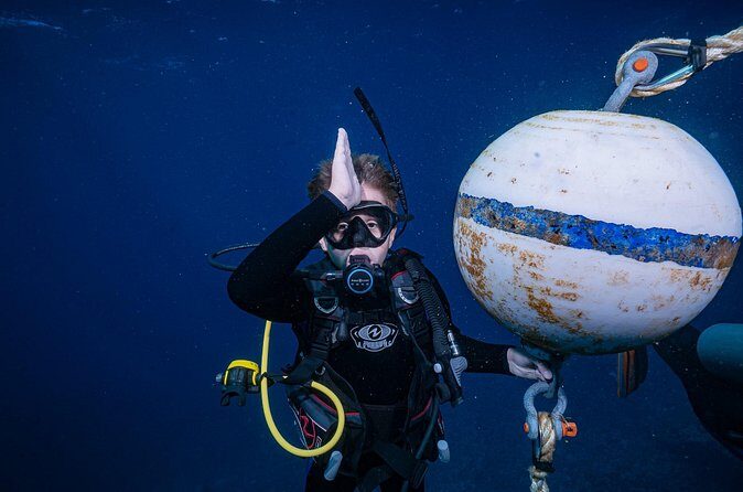 Small-Group Shark and Turtle Dive for Certified Divers - Wildlife Watch: Honu Turtles, White-Tip Reef Sharks, and the Small Stuff
