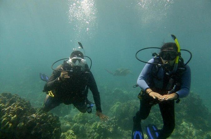 South Maui Discover Scuba Dive - Who This Is For (and Who Should Reconsider)