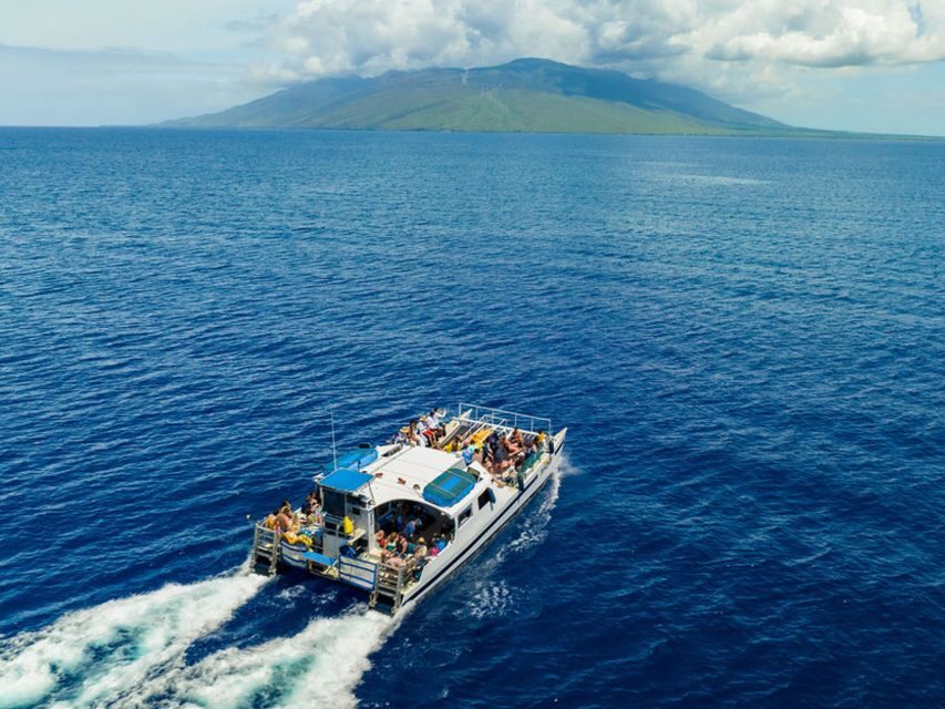 South Maui: Molokini & Turtle Town Snorkeling Tour with Meal - Gear, comfort, and the “stuff you’ll wish you packed”