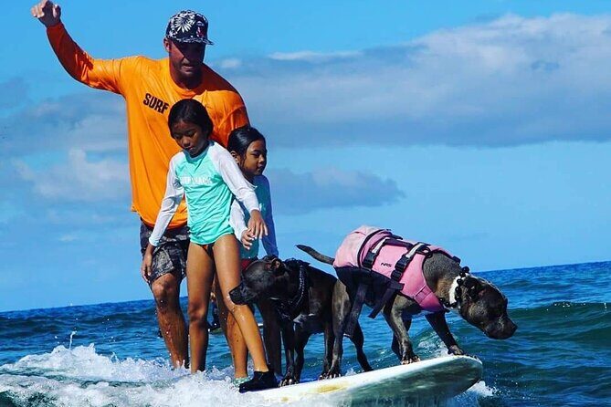 Surf with a Service Animal - Church on the Water: What to Expect From the Service Dog Duo