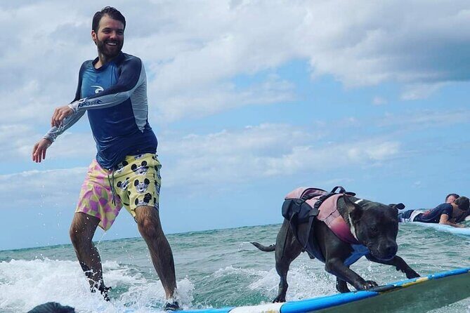 Surf with a Service Animal - What’s Included (and What You Need to Bring)