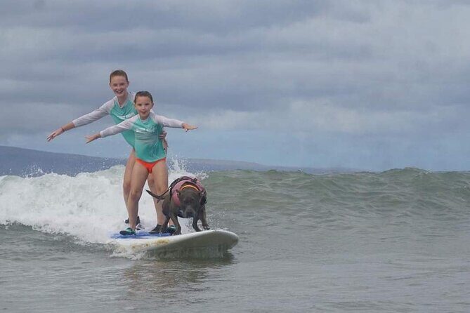 Surf with a Service Animal - Private Tour Value: Why $200 Can Make Sense Here