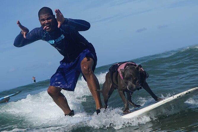 Surf with a Service Animal - Weather and Real-World Surf Reality
