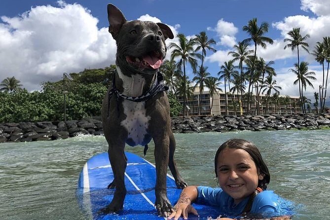 Surf with a Service Animal - Where You Start at Ukumehame Beach Park (and Why It’s Convenient)