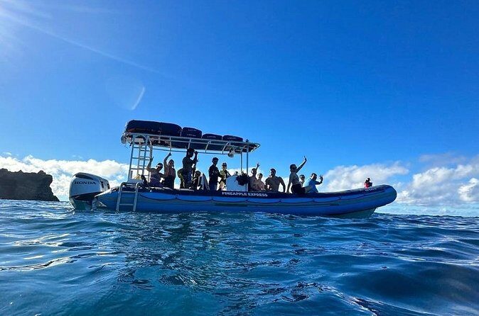 The Best 10 am 1.5 Hour Whale Watching Tour - Who this tour is best for (and who should skip it)