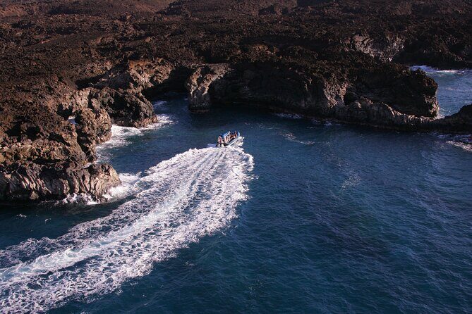 The Best 4 hour inclusive Kanaio Sea Caves and La Perouse Snorkel - Snorkel stop 3: turtle sightings, then lunch right after