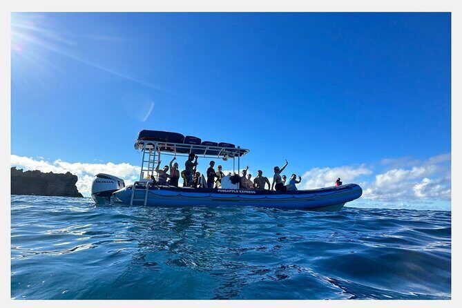 The Best 8 am 1.5 Hour Whale Watching Tour - Hydrophone whale-singing time: hearing humpback singing and communication