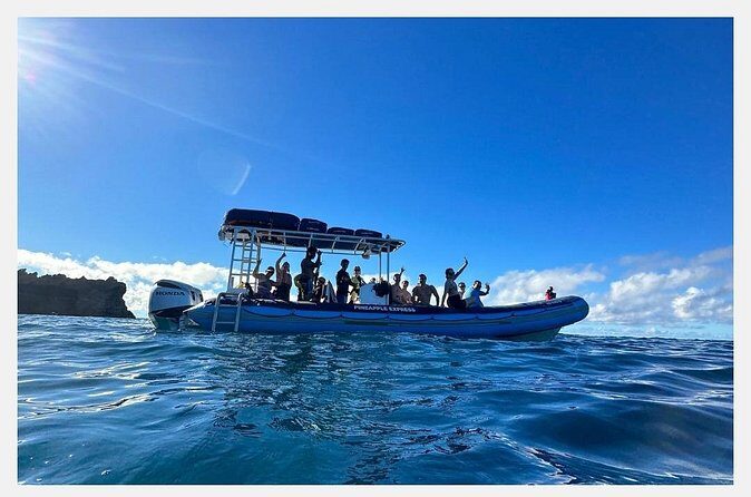 The Best 8 am 1.5 Hour Whale Watching Tour - Who this tour suits best (and who should skip)