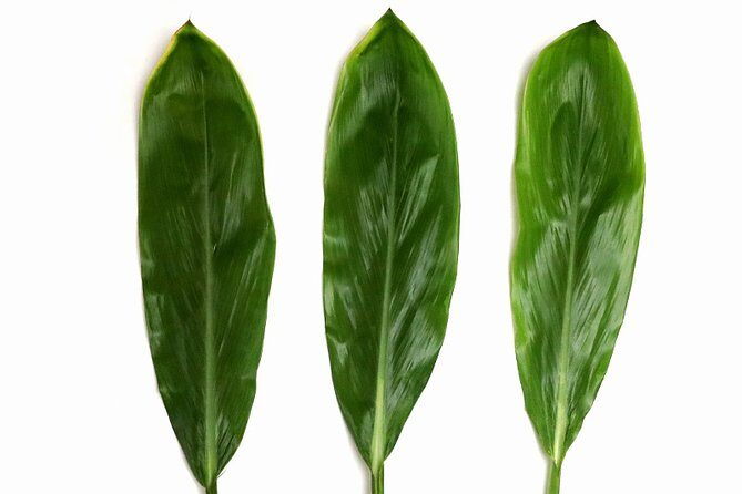 Ti Leaf Airport Lei Greeting (Maui, Kahului Airport, OGG) - Price vs. what you’re paying for: $47.38 per person