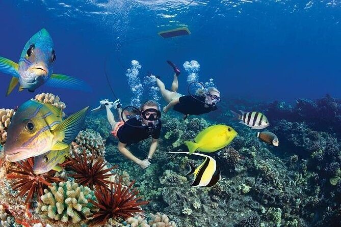 Turtles & Tacos Luxury Catamaran Snorkel - Professional photos onboard: fun if you want the keepsakes