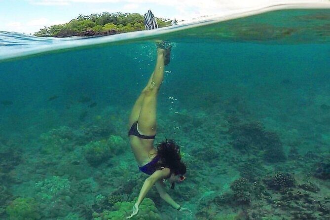 Ultimate Maui Kayak Snorkel Experience - Land tutorial: paddle basics, rules, and the morning plan