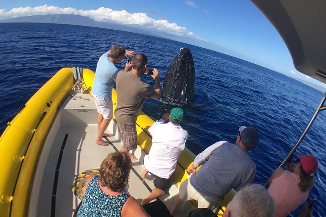 VIP (12 Guests ONLY) Ultimate Whale Watch - Comfort on a Raft: Wind, Spray, and Camera Strategy