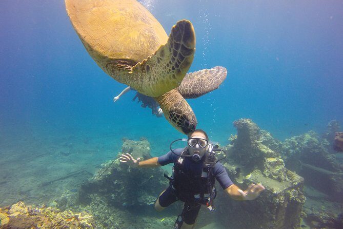 VIP Aloha Nui Snorkel Adventure w/ optional SCUBA from Lahaina - Price and value: $235.93 for a small-group Maui water day
