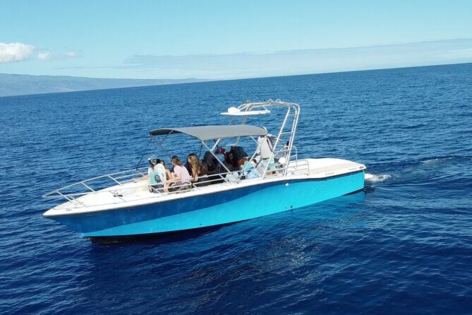 VIP Premiere Whale Watch Kaanapali Beach MAX 12 PASSENGERS - From 2435 Kaanapali Pkwy to your boat: timing and getting on board