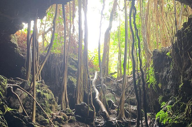 VIP Private Full-Day Road to Hana Tour from Lahaina-Kapalua - Pua‘a Ka‘a State Park Waterfall Time (Swimming If Weather Allows)