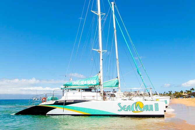 West Maui Afternoon Snorkel from Ka’anapali Beach - Value: Does $156.16 Make Sense for What You Get?