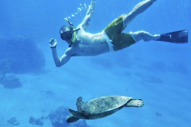 West Maui Half Day Snorkel from Ka’anapali Beach - West Maui snorkel day, but with smart flexibility