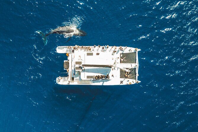West Maui Snorkel & Sail - Breakfast, Deli Lunch, and an Open Bar That Makes the Day Work