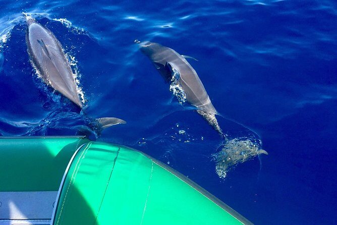 West Maui Snorkeling Experience by Boat from Ka'anapali - Key highlights to know before you go