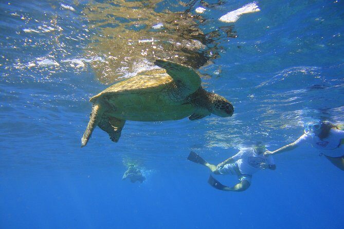 West Maui Snorkeling Experience by Boat from Ka'anapali - West Maui from Ka’anapali: the calm, guided way to snorkel