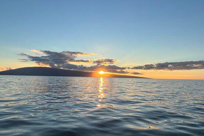 West Maui Sunset Whale Watch - Comfort Tips That Match the Real Whale-Watching Flow