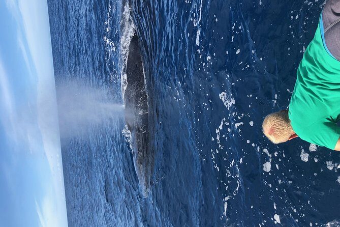 Whale Watching Experience - Meeting Bradley and Bethany: The Human Side of the Hunt