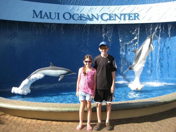 Whale Watching from Ma'alaea Harbor - Key things to know before you go