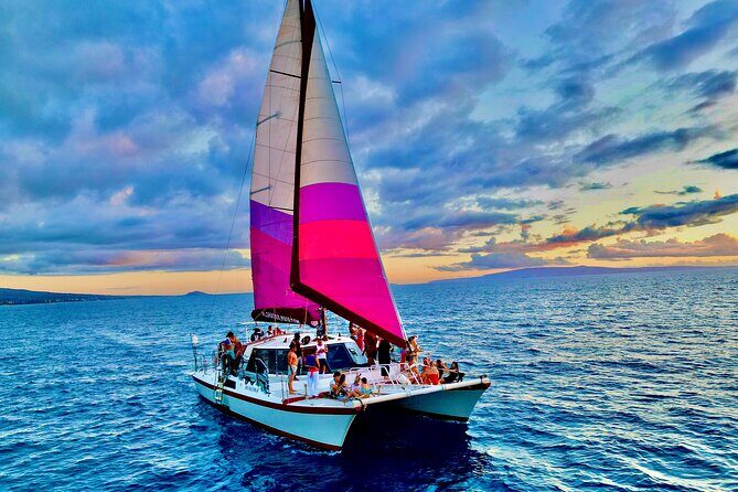 Whale Watching Tour on a Charming Hawaiian Catamaran From Maalaea - Dolphin sightings: the bonus wildlife moment