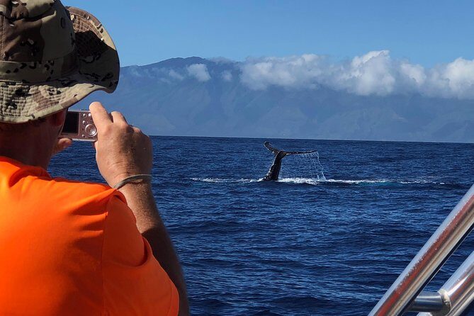WHALES GUARANTEED Maui Whale Watching Makai Adventures - Safety Briefing and Crew Direction: How the Tour Stays Focused