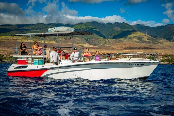 WHALES GUARANTEED Maui Whale Watching Makai Adventures - What You’ll Actually See: Humpback Moms, Calves, and Big Behavior
